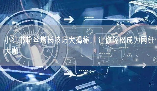 小红书粉丝增长技巧大揭秘，让你轻松成为网红大咖
