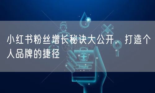 小红书粉丝增长秘诀大公开，打造个人品牌的捷径