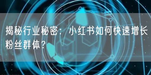 揭秘行业秘密：小红书如何快速增长粉丝群体？