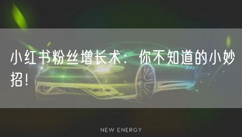 小红书粉丝增长术：你不知道的小妙招！
