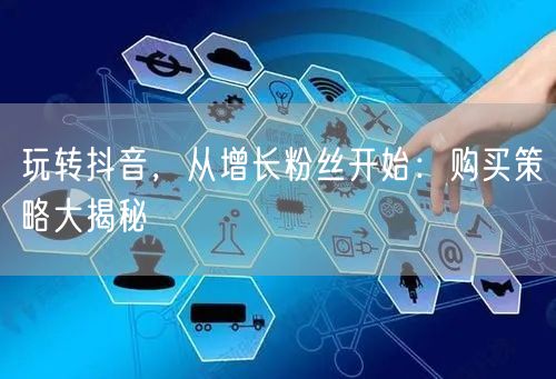 玩转抖音，从增长粉丝开始：购买策略大揭秘