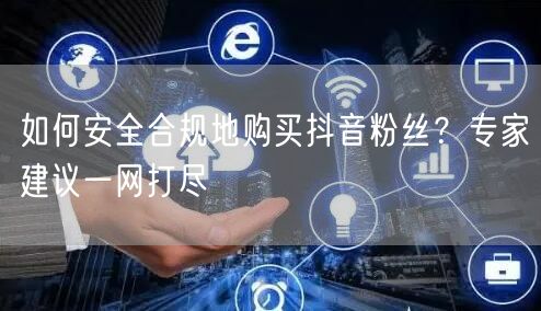 如何安全合规地购买抖音粉丝？专家建议一网打尽