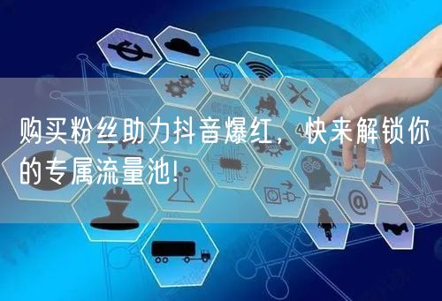购买粉丝助力抖音爆红，快来解锁你的专属流量池!