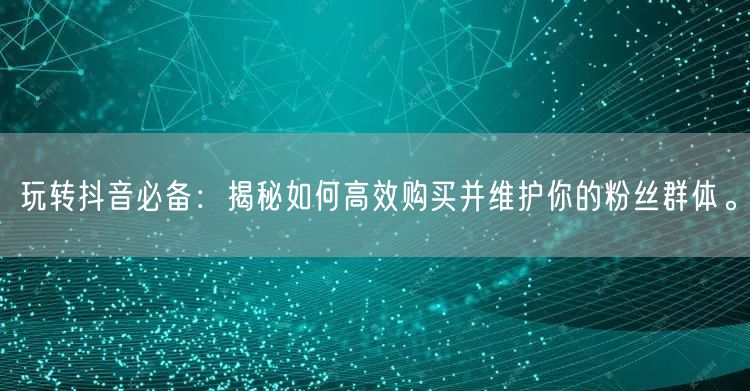 玩转抖音必备：揭秘如何高效购买并维护你的粉丝群体。