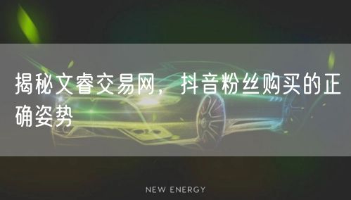 揭秘文睿交易网，抖音粉丝购买的正确姿势
