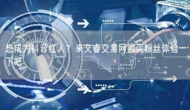 想成为抖音红人？来文睿交易网购买粉丝体验一下吧