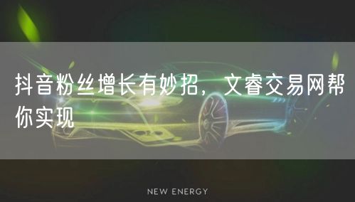 抖音粉丝增长有妙招，文睿交易网帮你实现