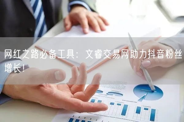 网红之路必备工具：文睿交易网助力抖音粉丝增长！