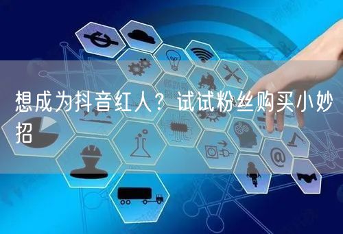 想成为抖音红人？试试粉丝购买小妙招