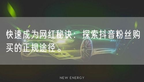 快速成为网红秘诀：探索抖音粉丝购买的正规途径。