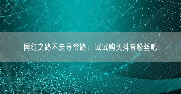 网红之路不走寻常路：试试购买抖音粉丝吧！