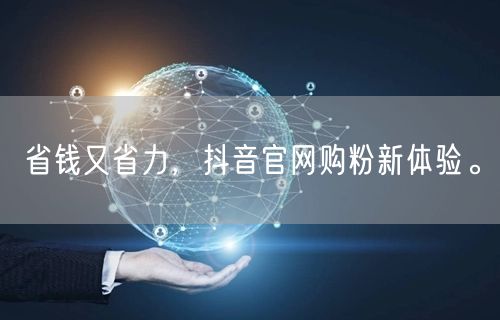 省钱又省力，抖音官网购粉新体验。