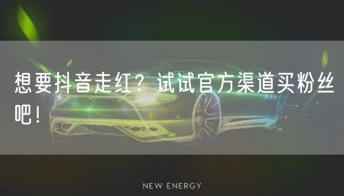 想要抖音走红？试试官方渠道买粉丝吧！