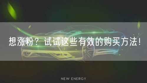 想涨粉？试试这些有效的购买方法！