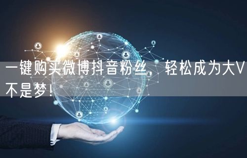 一键购买微博抖音粉丝，轻松成为大V不是梦！