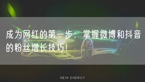 成为网红的第一步：掌握微博和抖音的粉丝增长技巧！