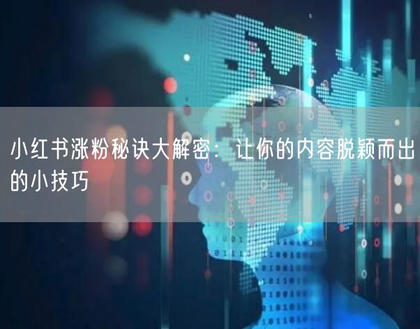 小红书涨粉秘诀大解密：让你的内容脱颖而出的小技巧