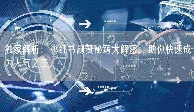 独家解析：小红书刷赞秘籍大解密，助你快速成为人气之王。