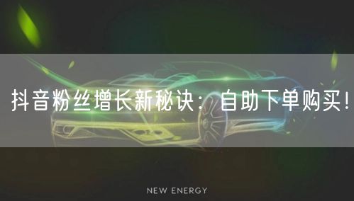 抖音粉丝增长新秘诀：自助下单购买！