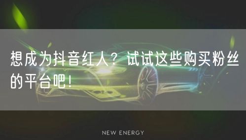 想成为抖音红人？试试这些购买粉丝的平台吧！
