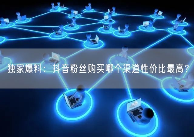 独家爆料：抖音粉丝购买哪个渠道性价比最高？