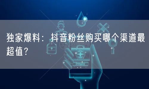 独家爆料：抖音粉丝购买哪个渠道最超值？