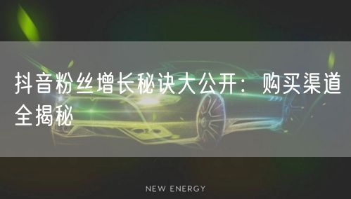 抖音粉丝增长秘诀大公开：购买渠道全揭秘