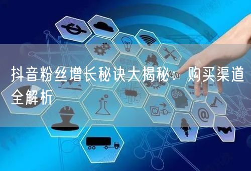抖音粉丝增长秘诀大揭秘：购买渠道全解析