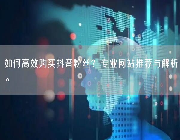 如何高效购买抖音粉丝？专业网站推荐与解析。