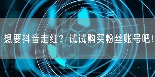 想要抖音走红？试试购买粉丝账号吧！