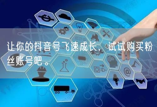 让你的抖音号飞速成长，试试购买粉丝账号吧。