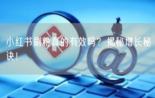 小红书刷粉真的有效吗？揭秘增长秘诀！