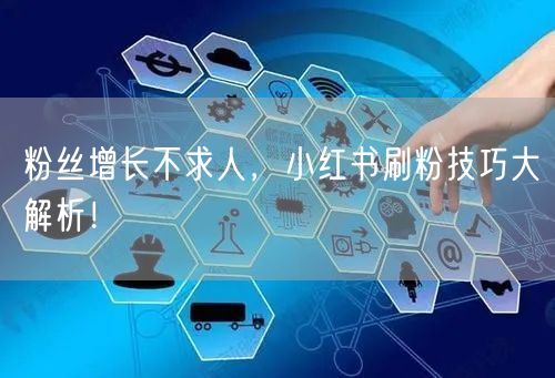 粉丝增长不求人，小红书刷粉技巧大解析！