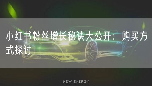 小红书粉丝增长秘诀大公开：购买方式探讨！