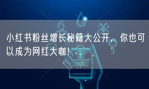 小红书粉丝增长秘籍大公开，你也可以成为网红大咖！