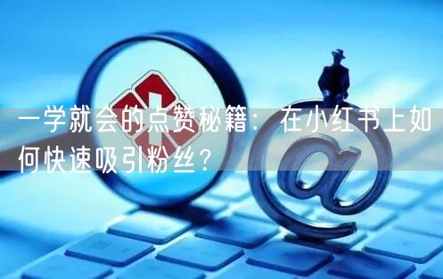 一学就会的点赞秘籍：在小红书上如何快速吸引粉丝？