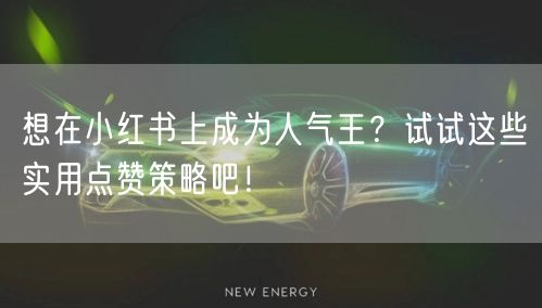想在小红书上成为人气王？试试这些实用点赞策略吧！