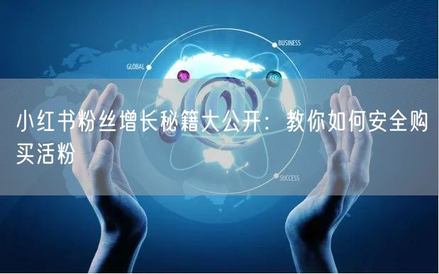 小红书粉丝增长秘籍大公开：教你如何安全购买活粉