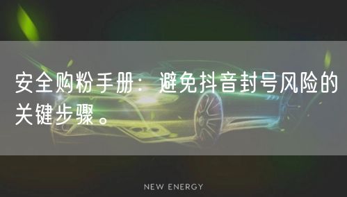 安全购粉手册：避免抖音封号风险的关键步骤。
