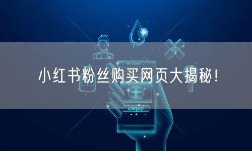小红书粉丝购买网页大揭秘！