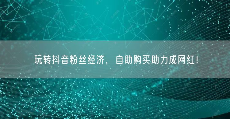 玩转抖音粉丝经济，自助购买助力成网红！