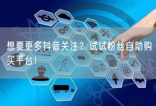 想要更多抖音关注？试试粉丝自助购买平台！