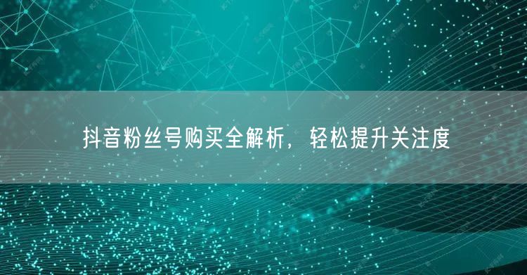 抖音粉丝号购买全解析，轻松提升关注度