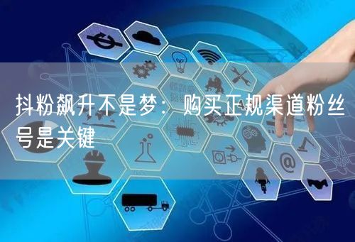 抖粉飙升不是梦：购买正规渠道粉丝号是关键