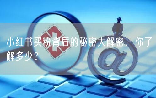小红书买粉背后的秘密大解密，你了解多少？
