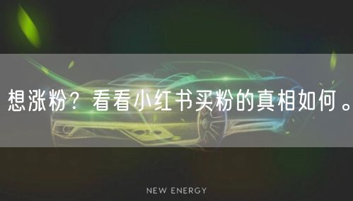 想涨粉？看看小红书买粉的真相如何。