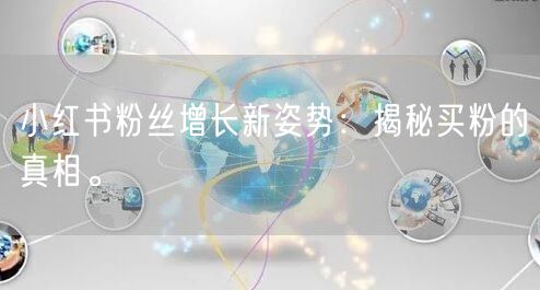小红书粉丝增长新姿势：揭秘买粉的真相。