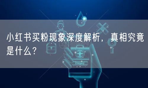小红书买粉现象深度解析，真相究竟是什么？