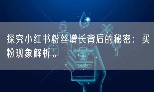 探究小红书粉丝增长背后的秘密：买粉现象解析。