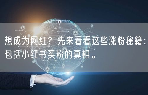 想成为网红？先来看看这些涨粉秘籍：包括小红书买粉的真相。